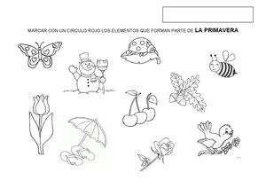 FICHA DE LA PRIMAVERA