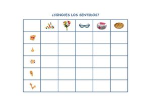 Descubre los sentidos