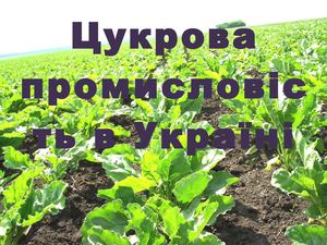 Цукрова промисловість в Україні