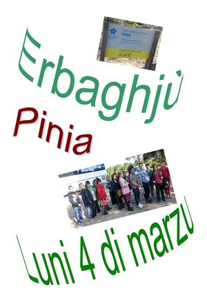 ERBAGHJU