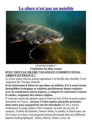 Le silure n'est pas un nuisible