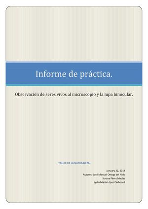 Observación al microscopio