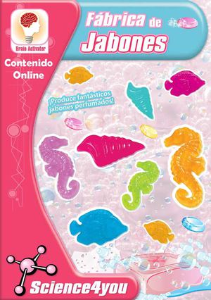 contenido online Fabrica de Jabones