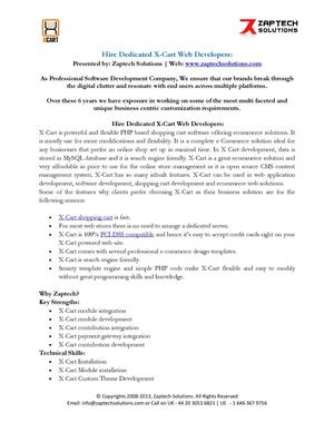 X-Cart Web Developers