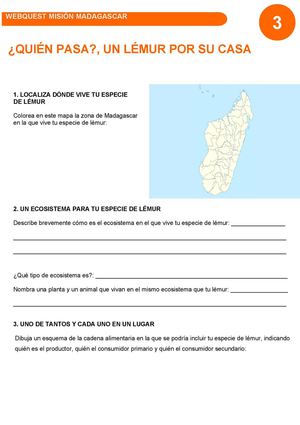 ¿Quién pasa?, un lémur por su casa