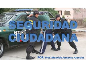 SEGURIDAD CIUDADANA
