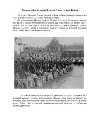 Подвиги собак во время Великой Отечественной Войны