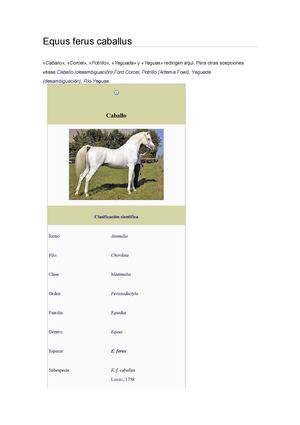 Equus ferus caballus