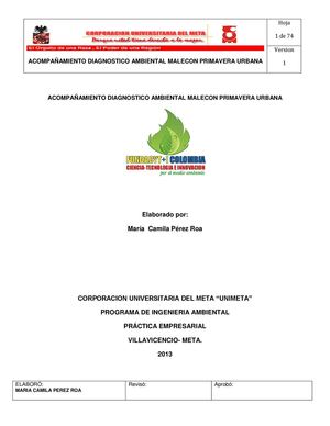 INFORME DE PRÁCTICA EMPRESARIAL ULTIMO. kmila perez