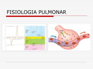 Fisiología del Sistema Respiratorio 