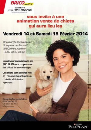 Expo Vente de chiots, pensez Bricomarché !