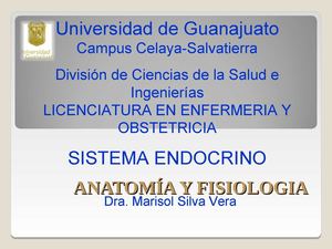 SISTEMA ENDOCRINO