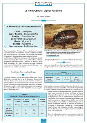 élevage rhinocéros Oryctes nasicornis Pierre ROBERT