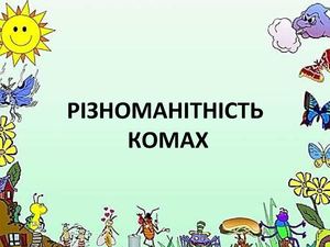 Різноманітність комах