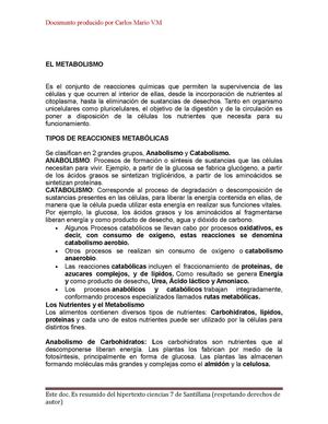 EL METABOLISMO