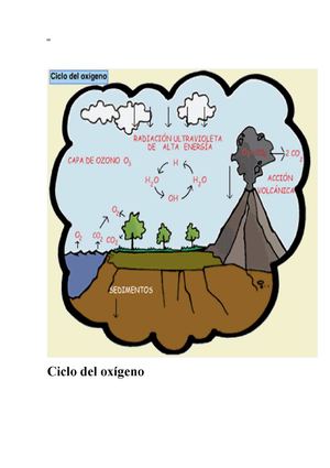 Ciclo del oxígeno y atmosfera