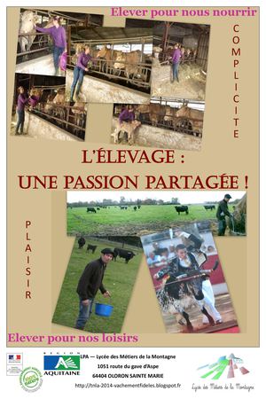 affiche 06 01 14 4