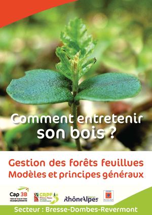 Comment entretenir son bois