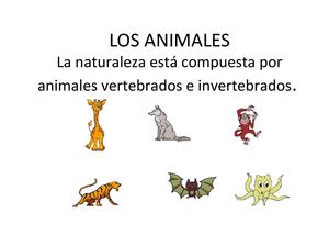 Los animales- clasificación.