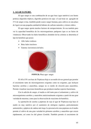 Medios AGAR 