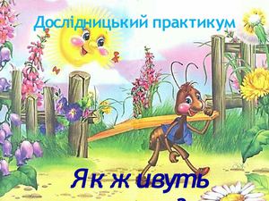 В  гостях   у мурашки