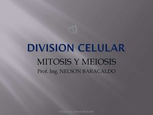 MITOSIS Y MEIOSIS