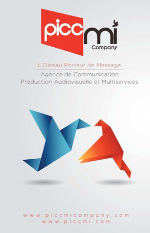 Plaquette PiccMi Company SARL - PiccMi Studio - PiccMi.Com