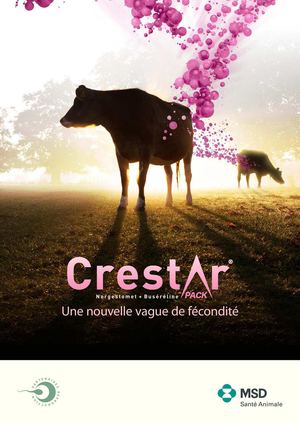 MSD - Une nouvelle vague de fertilité 