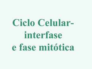 5- ciclo celular e fase mitotica
