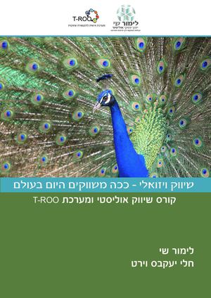 סילבוס קורס שיווק ויזואלי