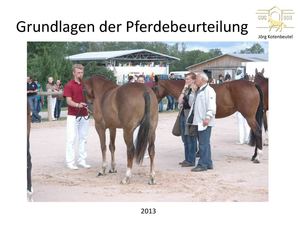 Pferdebeurteilung - Teil 1 Exterieur