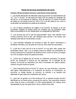 Bovinos productores de carne