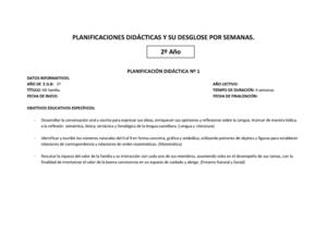 Planificación Nº 1