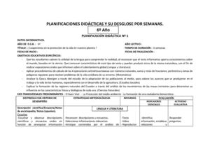 Planificación Nº 1