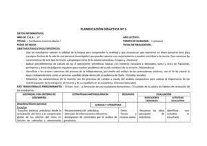 Planificación Nº 5