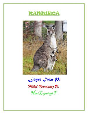 Kangurua