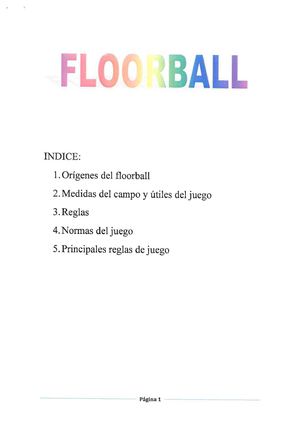 FLOORBALL
