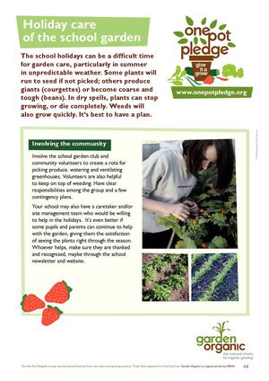Caring for your School Garden During the Summer Holiday 