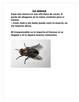 La mosca intrusa