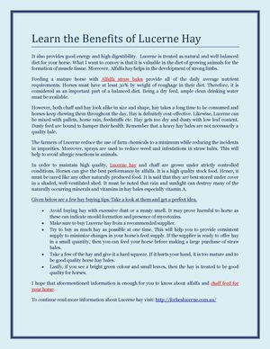 Learn the Benefits of Lucerne Hay