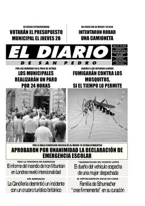 El diario de San Pedro 14-02-2014