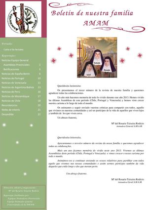 Boletín AMAM 2013