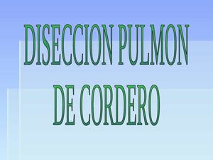 Disección de Pulmón por Marcos L. Grandury