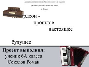 Проект "Аккордеон"