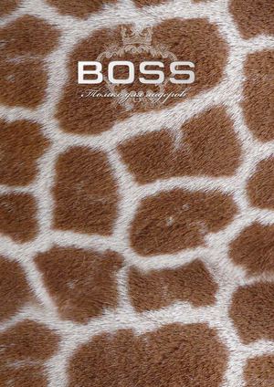 Boss. Только для Лидеров