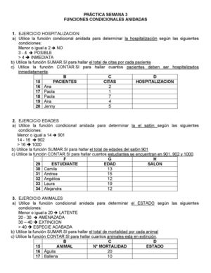 FUNCIONES CONDICIONALES ANIDADAS 2