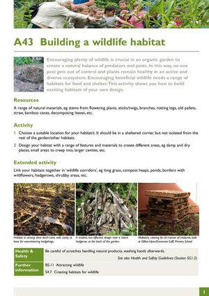 Building a Wildlife Habitat