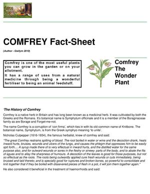 Comfrey Fact-Sheet
