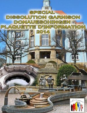 Plaquette d'information spéciale dissolution 2014