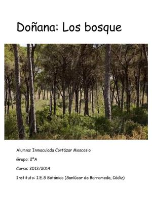 Doñana: los bosques